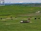 272065 Lochend Road, Rural Rocky View County, Alberta, T0M1L0 (ID A2278959)