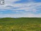 272065 Lochend Road, Rural Rocky View County, Alberta, T0M1L0 (ID A2278959)