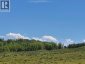 272065 Lochend Road, Rural Rocky View County, Alberta, T0M1L0 (ID A2278959)