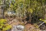 23 PEDWELL DRIVE, Northern Bruce Peninsula, Ontario, N0H2R0 (ID X12801422)