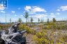 23 PEDWELL DRIVE, Northern Bruce Peninsula, Ontario, N0H2R0 (ID X12801422)
