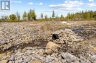 23 PEDWELL DRIVE, Northern Bruce Peninsula, Ontario, N0H2R0 (ID X12801422)