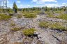 23 PEDWELL DRIVE, Northern Bruce Peninsula, Ontario, N0H2R0 (ID X12801422)