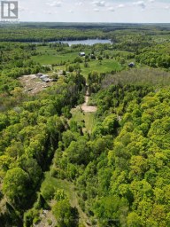 791 CLEAR LAKE ROAD Parry Sound Remote Area (Arnstein) Ontario photo 11