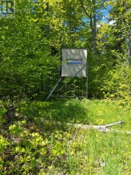 791 CLEAR LAKE ROAD Parry Sound Remote Area (Arnstein) Ontario photo 12