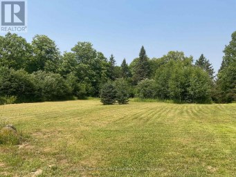 791 CLEAR LAKE ROAD Parry Sound Remote Area (Arnstein) Ontario photo 42