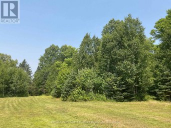 791 CLEAR LAKE ROAD Parry Sound Remote Area (Arnstein) Ontario photo 43