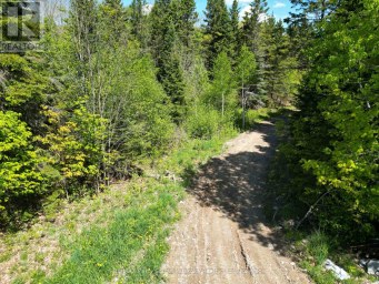 791 CLEAR LAKE ROAD Parry Sound Remote Area (Arnstein) Ontario photo 6