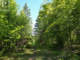 791 CLEAR LAKE ROAD Parry Sound Remote Area (Arnstein) Ontario photo 8