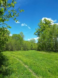 791 CLEAR LAKE ROAD Parry Sound Remote Area (Arnstein) Ontario photo 9