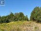 1191 137 Route 785, Utopia, New Brunswick, E5C2L3 (ID NB134476)