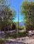 1191 137 Route 785, Utopia, New Brunswick, E5C2L3 (ID NB134476)