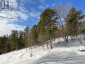 161 - 25 BALSAM CREEK ROAD, Parry Sound Remote Area (wilson), Ontario, P0H1S0 (ID X12856514)