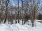 161 - 25 BALSAM CREEK ROAD, Parry Sound Remote Area (wilson), Ontario, P0H1S0 (ID X12856514)