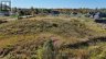 244 MANN DRIVE, Kingston (city North Of 401), Ontario, K7L4V3 (ID X12877462)