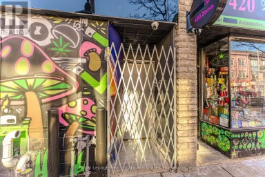 16 (3RD) - 497 BLOOR STREET W Toronto (University) Ontario photo 1