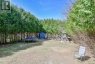 60 TAMARACK TRAIL, Bracebridge (monck (bracebridge)), Ontario, P1L1Z1 (ID X12886728)