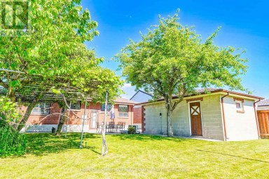 28 RENSHAW STREET Toronto (Downsview-Roding-CFB) Ontario photo 3