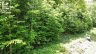 00 KAMANISKEG LAKE ROAD, Hastings Highlands (bangor Ward), Ontario, K0J1L0 (ID X12891178)