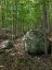 00 KAMANISKEG LAKE ROAD, Hastings Highlands (bangor Ward), Ontario, K0J1L0 (ID X12891178)