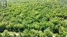 00 KAMANISKEG LAKE ROAD, Hastings Highlands (bangor Ward), Ontario, K0J1L0 (ID X12891178)