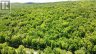 00 KAMANISKEG LAKE ROAD, Hastings Highlands (bangor Ward), Ontario, K0J1L0 (ID X12891178)