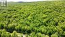 00 KAMANISKEG LAKE ROAD, Hastings Highlands (bangor Ward), Ontario, K0J1L0 (ID X12891178)