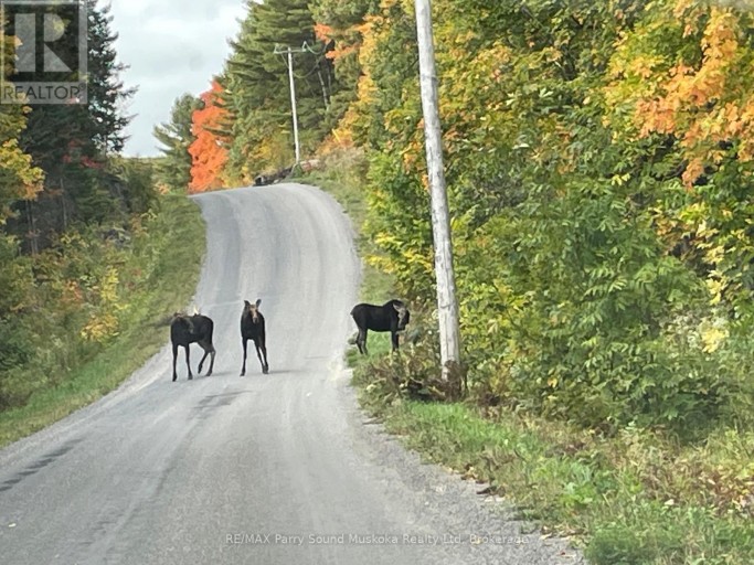 39 WEBER ROAD, Parry Sound Remote Area (McConkey), Ontario, P0H1S0