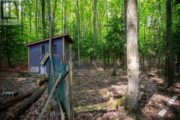 215319 CONCESSION 4, Chatsworth, Ontario, N0H2V0