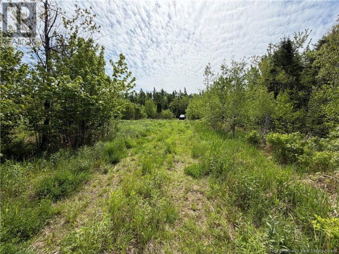 225 South Black River Road, Black River Bridge, New Brunswick, E1N5S5