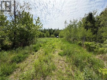 225 South Black River Road Black River Bridge New Brunswick photo 12