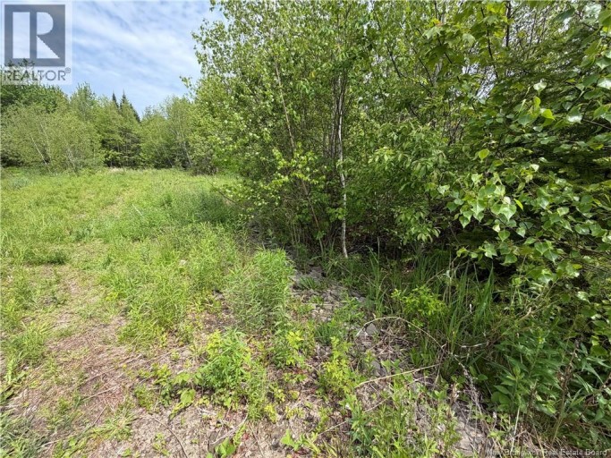225 South Black River Road, Black River Bridge, New Brunswick, E1N5S5