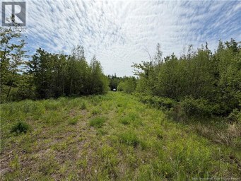 225 South Black River Road Black River Bridge New Brunswick photo 15
