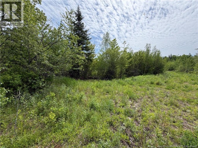 225 South Black River Road, Black River Bridge, New Brunswick, E1N5S5