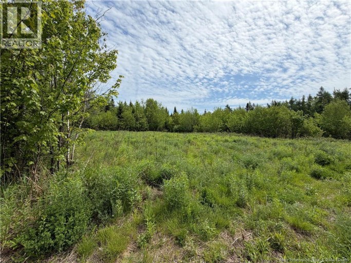 225 South Black River Road, Black River Bridge, New Brunswick, E1N5S5
