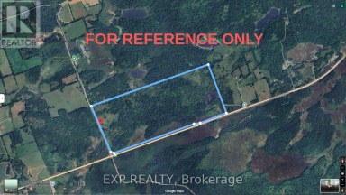 84 HUNT CLUB ROAD Madoc Ontario photo 1