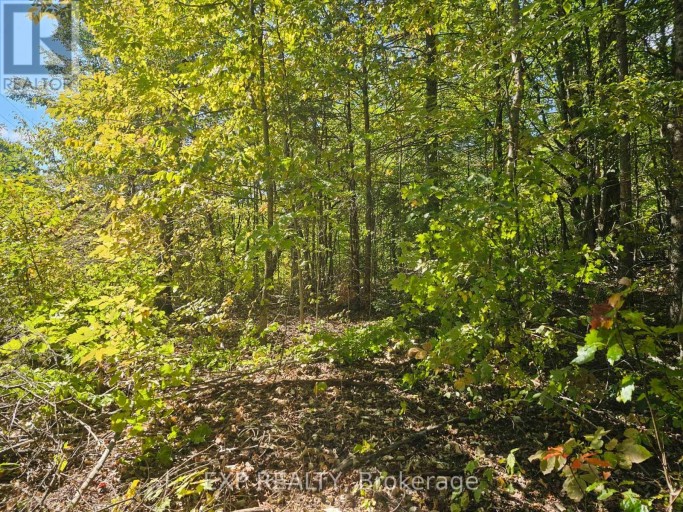 PART LOT 32 AND 33 PART 2 CONC 1 CONCESSION, Minden Hills (Snowdon), Ontario, K0M1X0