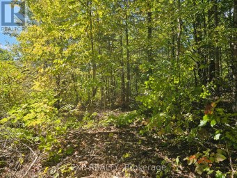 PART LOT 32 AND 33 PART 2 CONC 1 CONCESSION Minden Hills (Snowdon) Ontario photo 1