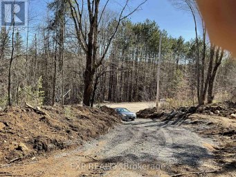 PART LOT 32 AND 33 PART 2 CONC 1 CONCESSION Minden Hills (Snowdon) Ontario photo 10