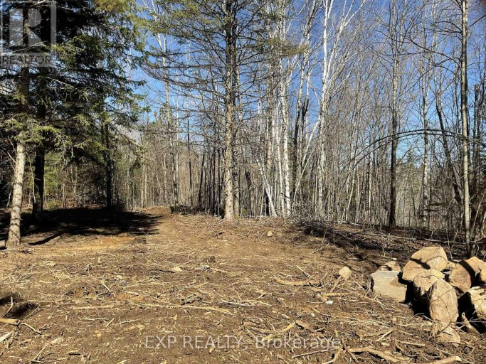 PART LOT 32 AND 33 PART 2 CONC 1 CONCESSION, Minden Hills (Snowdon), Ontario, K0M1X0
