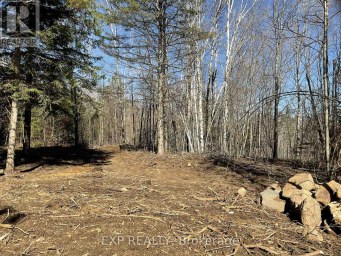 PART LOT 32 AND 33 PART 2 CONC 1 CONCESSION Minden Hills (Snowdon) Ontario photo 12