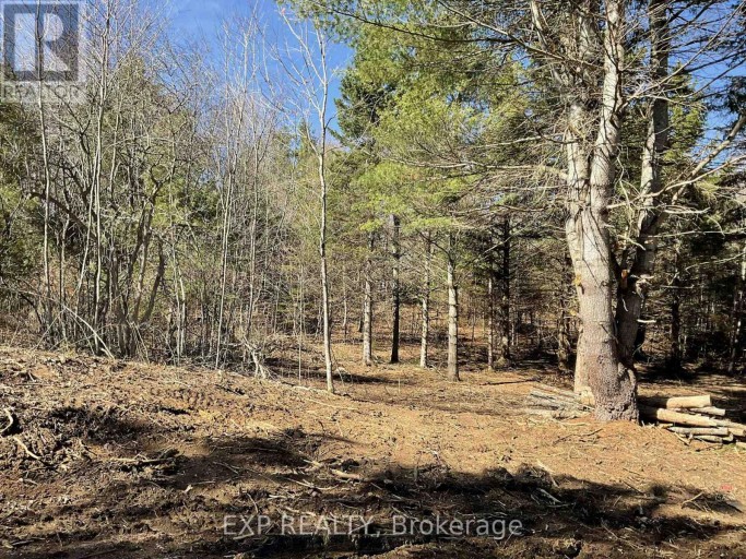 PART LOT 32 AND 33 PART 2 CONC 1 CONCESSION, Minden Hills (Snowdon), Ontario, K0M1X0