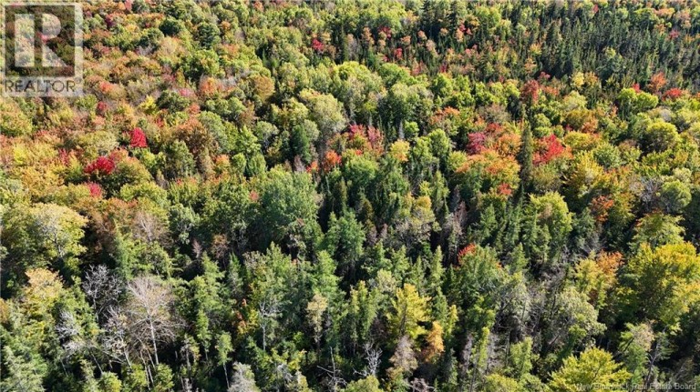 Lot 4 Route 3, Andersonville, New Brunswick, E5A1E2