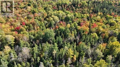 Lot 4 Route 3 Andersonville New Brunswick photo 12