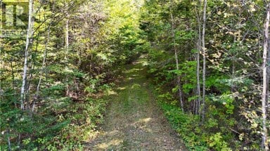 Lot 4 Route 3 Andersonville New Brunswick photo 14