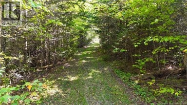 Lot 4 Route 3 Andersonville New Brunswick photo 15