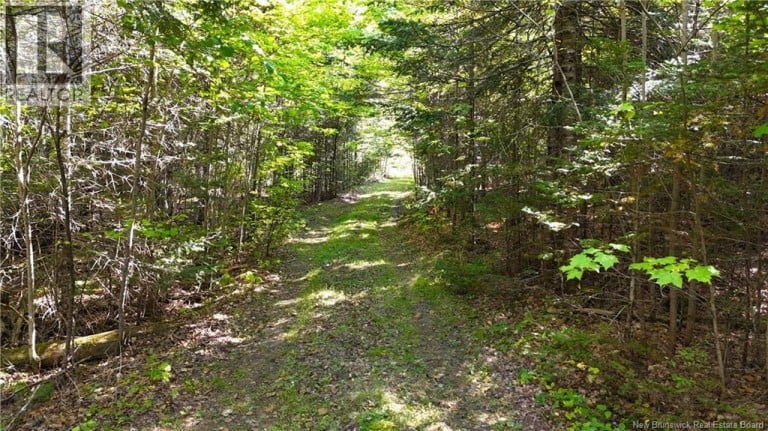 Lot 4 Route 3, Andersonville, New Brunswick, E5A1E2
