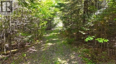 Lot 4 Route 3 Andersonville New Brunswick photo 16