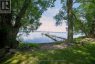 120 DRUMGOOLE LANE, Loyalist (lennox And Addington - South), Ontario, K0H2S0 (ID X12918442)