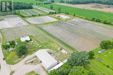 11 TUCKER STREET Newbury Ontario photo 6